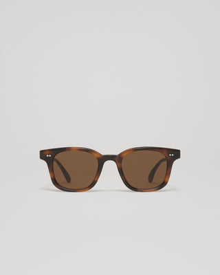 02,3M Tortoise