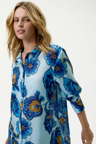 Daisy Lemnos Blue Flower