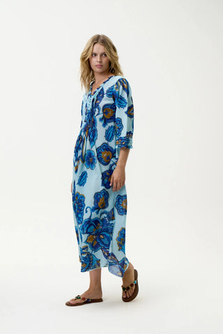 Long Poppy Lemnos Blue Flower