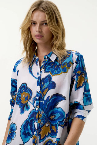 Daisy Broome Blue Flower