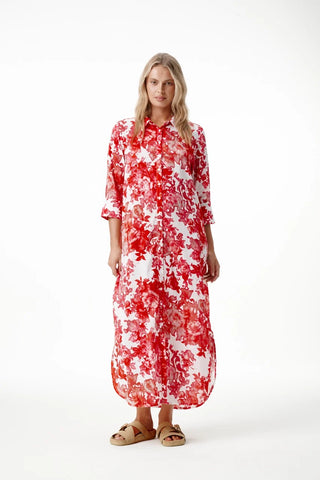 Rose Blanc lg Daisy White