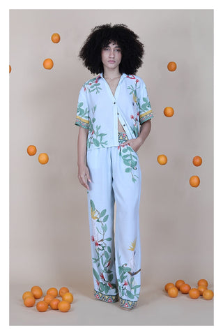 Laksina Wideleg Pants