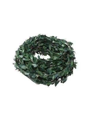 Green Leaf Led Light String