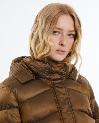 Brown Parka